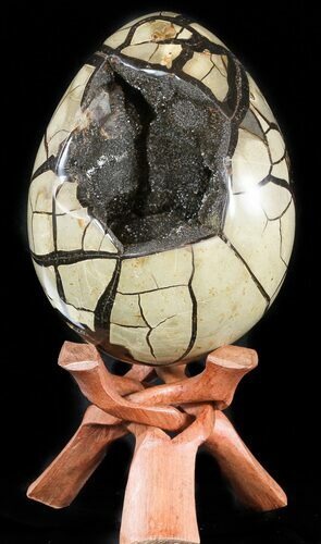 Septarian Dragon Egg Geode - Black Crystals #47478